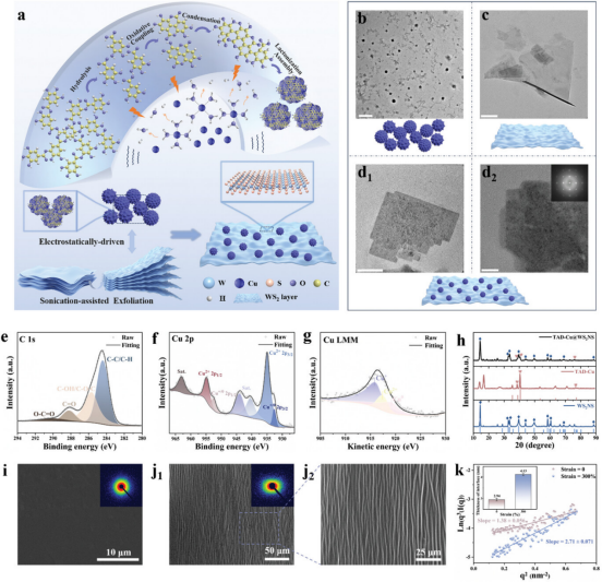 《Advanced Materials》发表航空学院苗应刚合作研究成果-20241225(1)1167.png 《Advanced Materials》发表航空学院苗应刚合作研究成果-20241225(1)1167.png