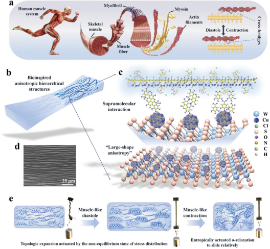 《Advanced Materials》发表航空学院苗应刚合作研究成果-20241225(1)1103.png 《Advanced Materials》发表航空学院苗应刚合作研究成果-20241225(1)1103.png