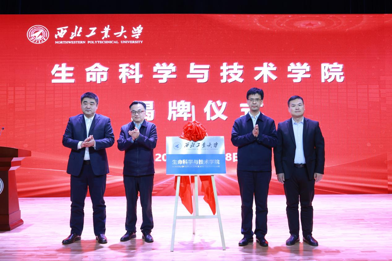 图片12揭牌png.png 图片12揭牌png.png