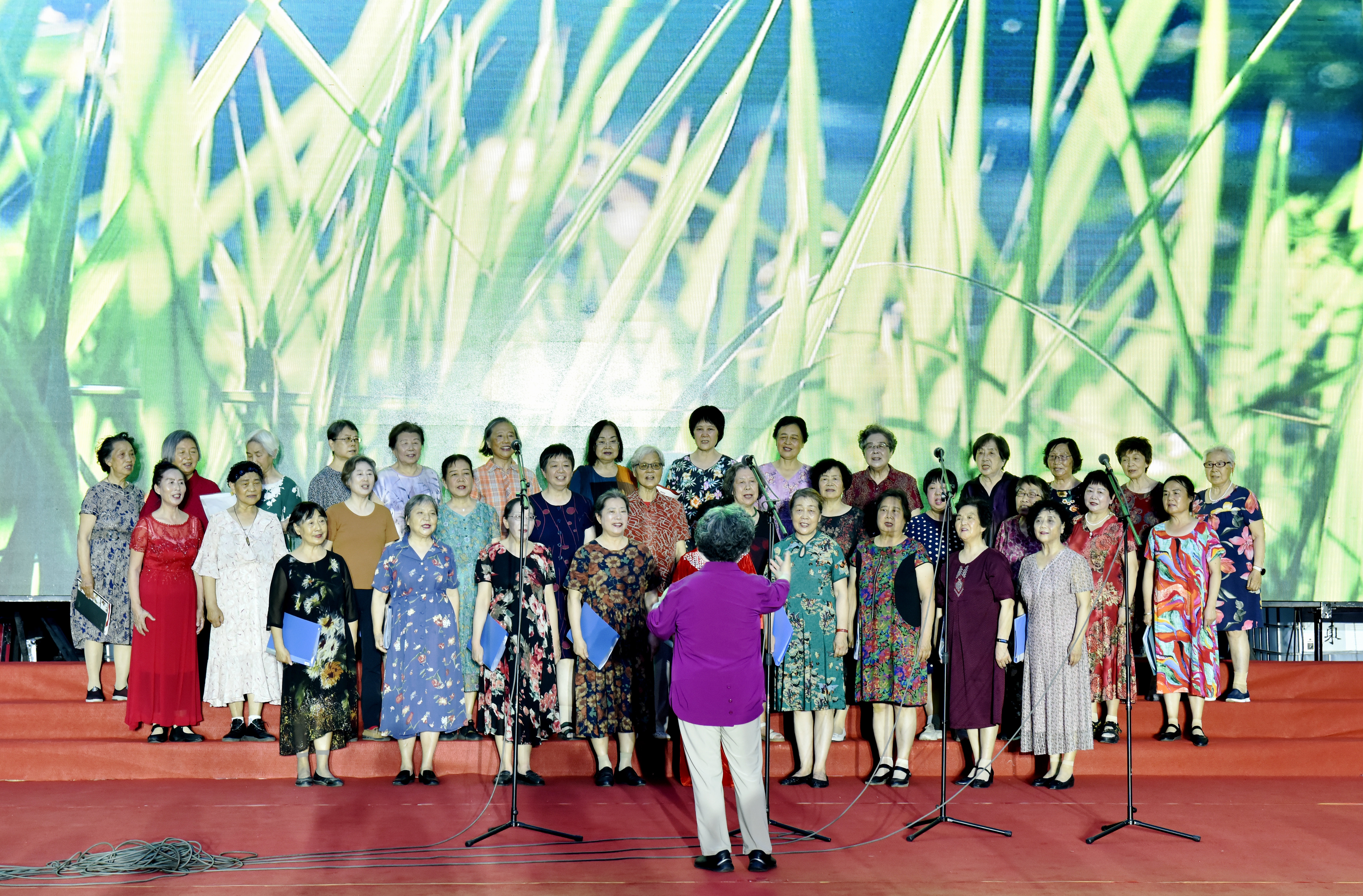 节目2.jpg 节目2.jpg